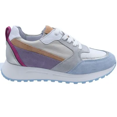 Aqa A8537 multicolor