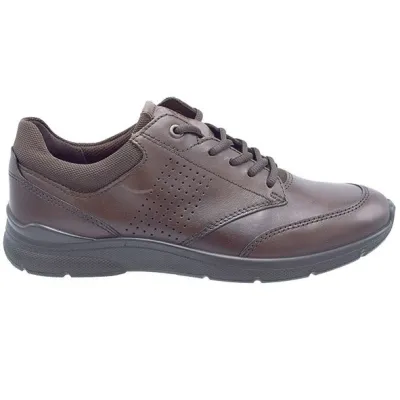 Ecco Irving Bruin