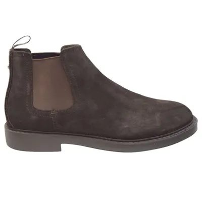 Greve Highland Bruin